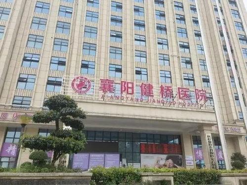 襄阳医院最新爆料公告查询,揭秘事件真相与进展