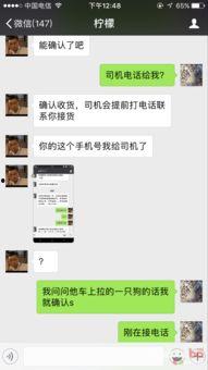 沙河村最新爆料消息,揭秘村庄背后惊人真相